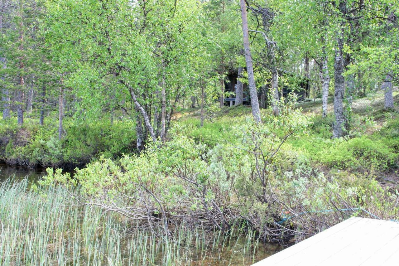 Villa Paltto Elaemysretket Lemmenjoki Esterno foto